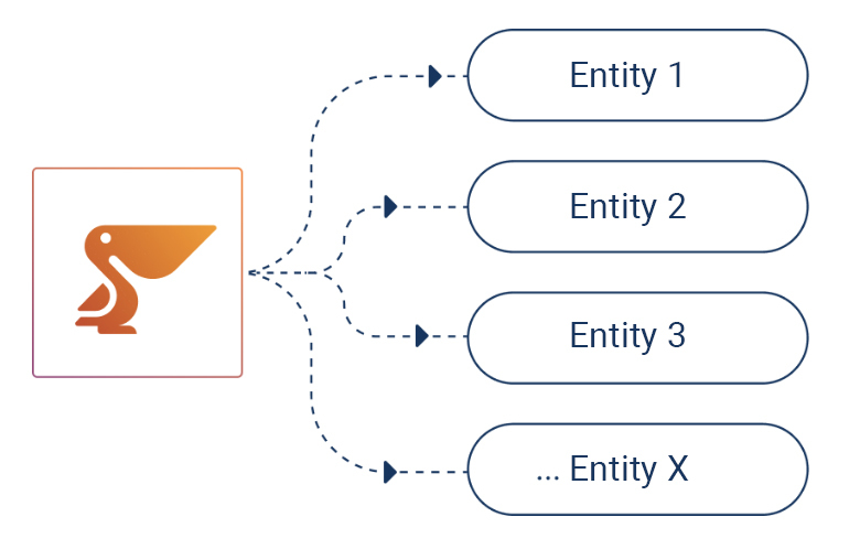 multiple entities