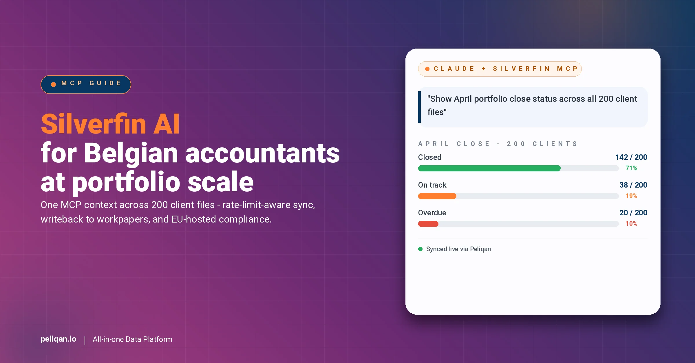 silverfin-mcp-belgian-accountants