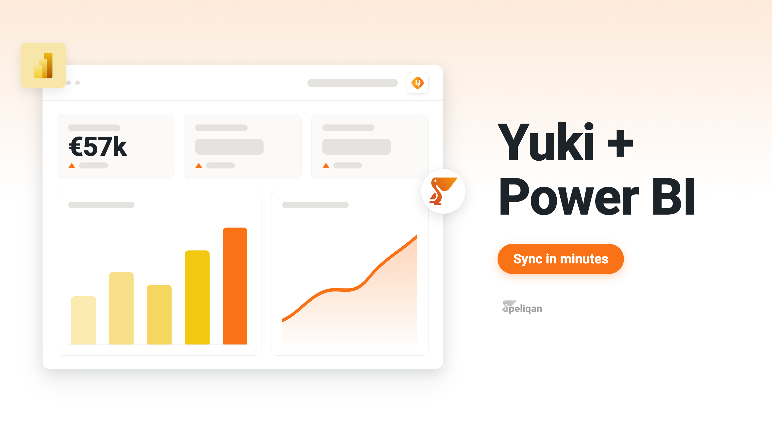 Connect Yuki to Power BI with Peliqan